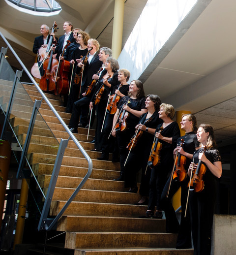 Strijkersensemble Enjoy